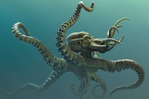 Kraken зеркало рабочее