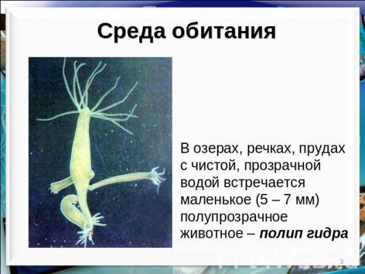 Кракен зеркало рабочее на сегодня